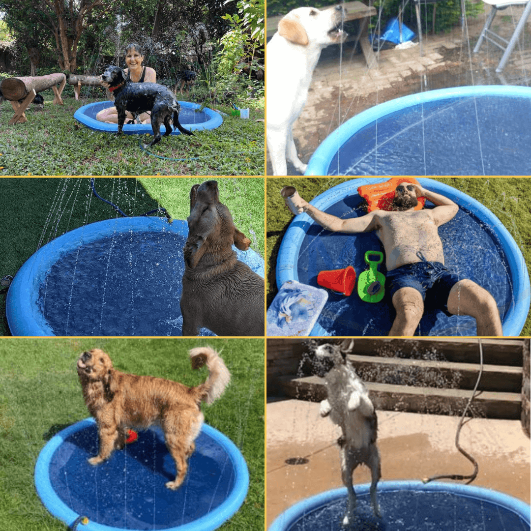 Sprinkly Wasserspieloase für Hunde!