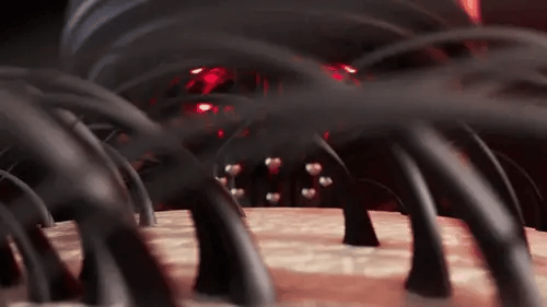 ScalpMaster | Für eine gesunde Kopfhaut!