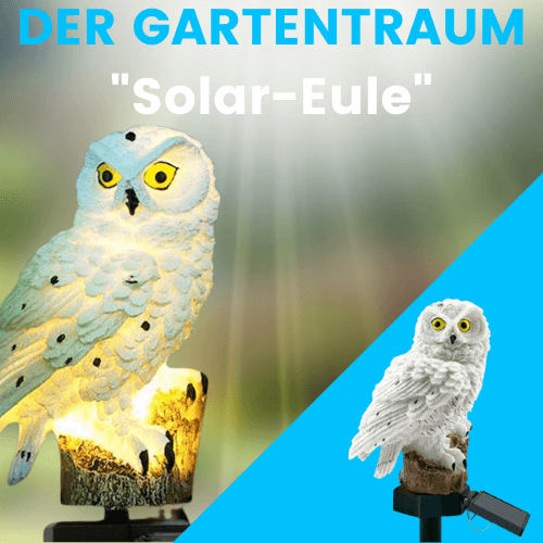 Solar-Eule - Gartendekoration
