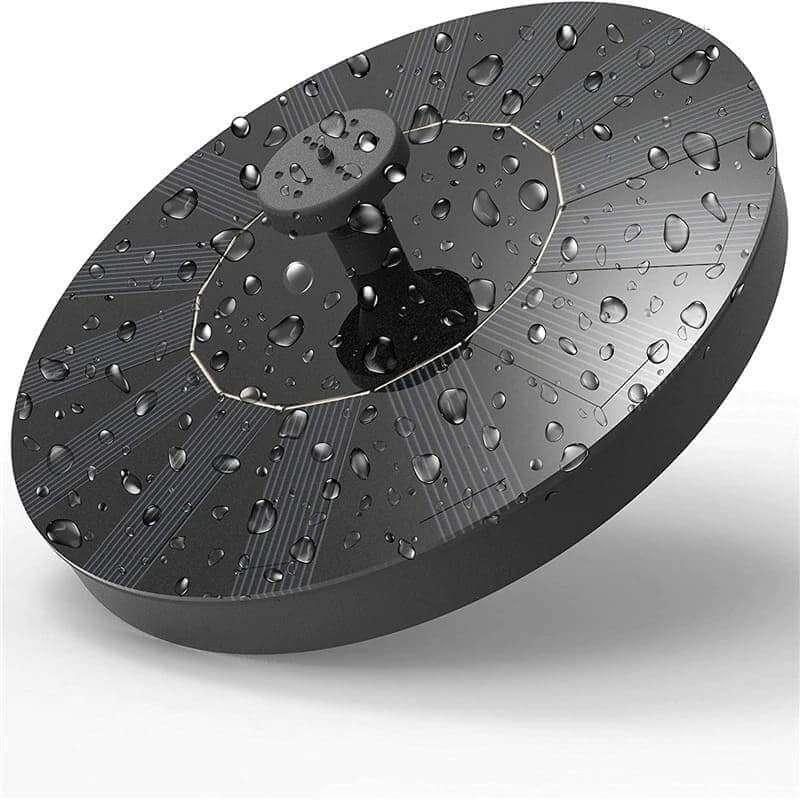 Gartentraum "Splasher"