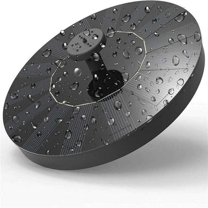 Gartentraum "Splasher"